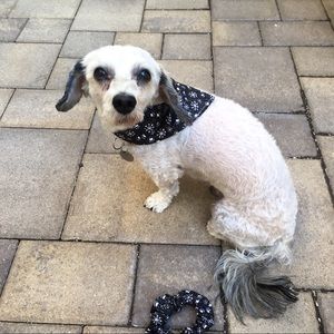 Christmas Handmade Hair Scrunchie and Dog Bandana